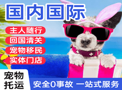 青岛胶东机场托运国际宠物托运 【国